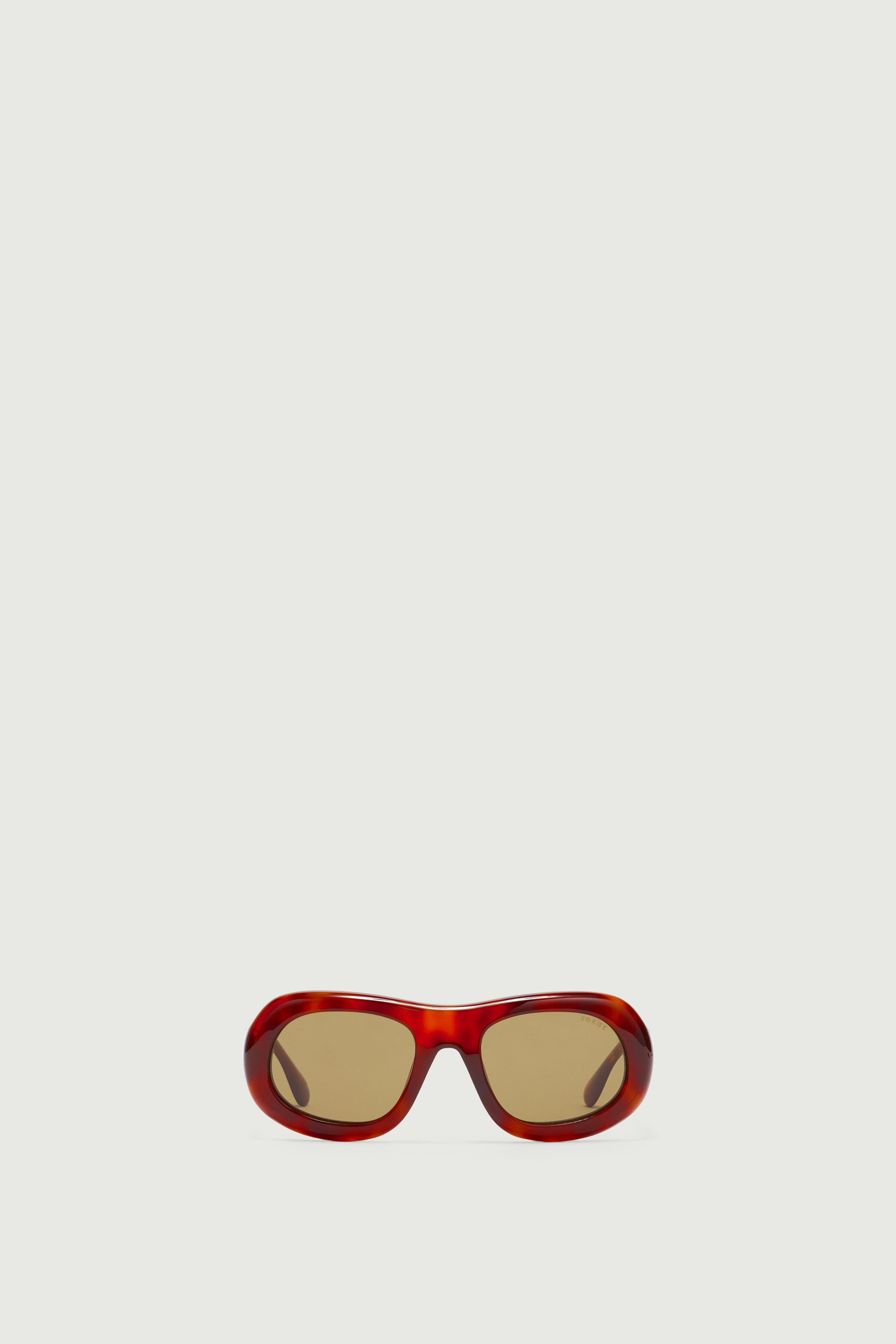 Sunglasses LEE Tortoiseshell