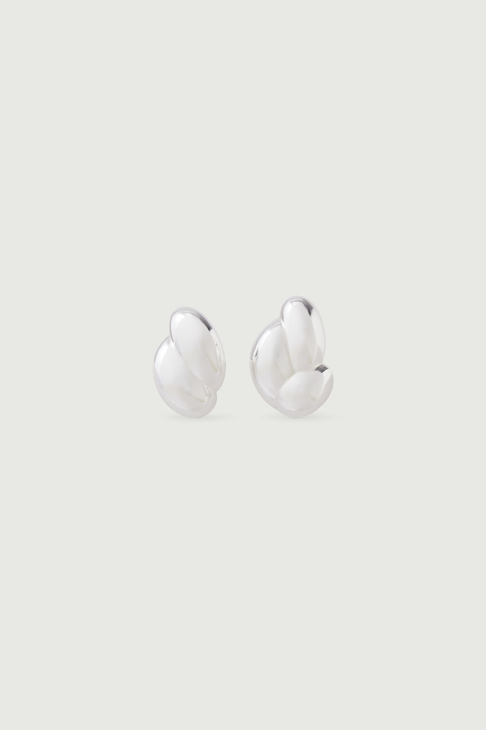 Earrings Silver