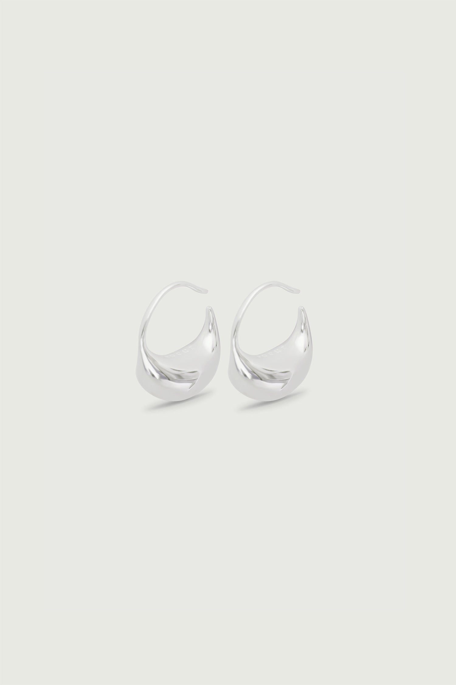 Earrings Silver