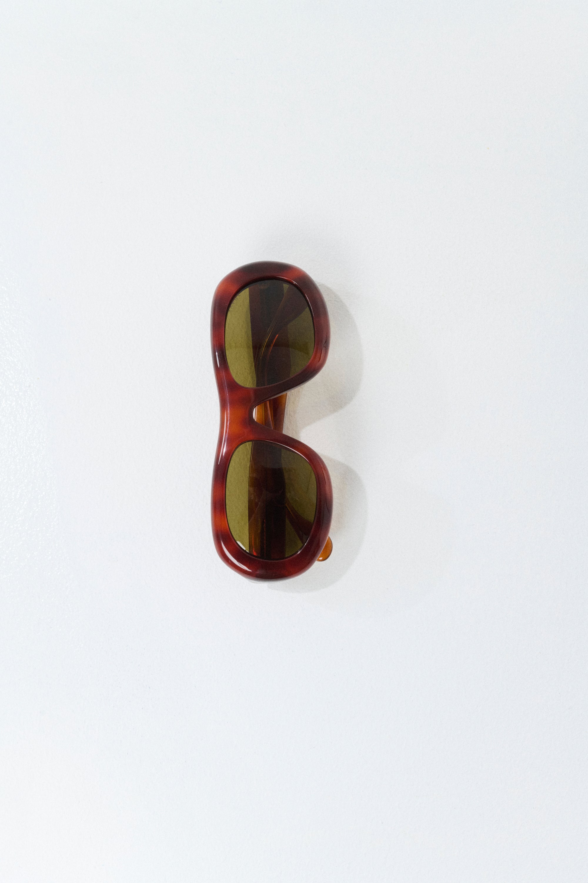 Sunglasses LEE Tortoiseshell